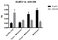 Figure 5:  Expression of miR-328 and ELMO3  in NSCLC.  
