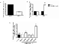 Figure 1: Effects of CM on HDACs in human adipocytes and liver cancer cells. 