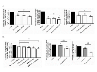 Figure 6:  Resminostat enhanced the anti-proliferative effects of pharmaceutical agents for HCC.  (A) 