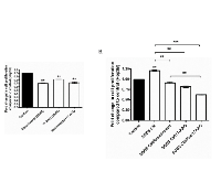 Figure  7:  Resminostat  and  17-AAG  had  combined  anti-proliferative  effect  against  HCC  even  when  challenged  with  SGBS  CM.  (A) 