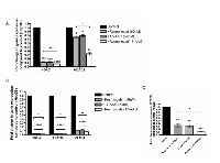 Figure 8:  Resminostat and 17-AAG had enhanced anti-HCC effects compared to single treatment.  (A) 