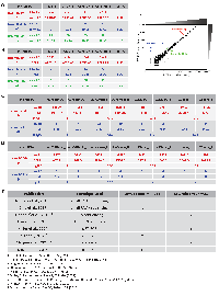 Figure 1: Low expression levels of miR-211 in A375 cells