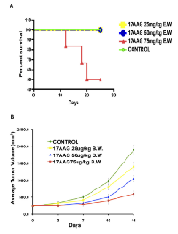 Figure 1: High dose 17AAG reduces tumor growth in  C57Bl6 mice but causes mortality from chemotoxicity. 