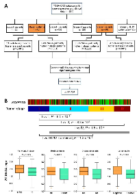 Figure 1: (A) 