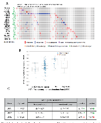 FIGURE 5:  Gene alterations in Akt pathway in human advanced PCa.  (A) 