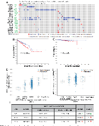 FIGURE 6:  Gene alterations in Akt pathway in human primary prostate adenocarcinoma.  (A) 