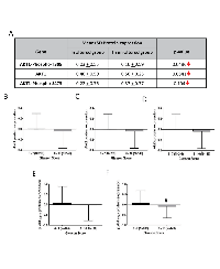 FIGURE 7:  Alterations in Akt1 protein expression and its activity in human primary prostate adenocarcinoma.  (A) 