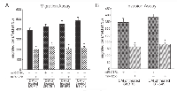 Figure  5:  The  effects  of  suppressing  SAF-1  expression  on  breast  cancer  cell  migration  and  invasion. 