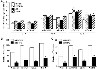 Figure 2:  Overexpressed miR-145 decreases proliferation, clonogenic colonies, and soft agar colonies in neuroblastoma  cells. 