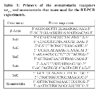 Table 1:  Primers of the somatostatin receptors  sst1-5