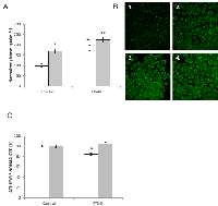 Fig 2: Effect of Ras inhibition on HGF/SF-induced  glucose uptake and on ATP synthesis in tumor cells in 