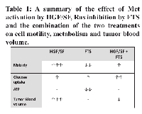 Table 1:  A summary of the effect of Met  activation by HGF/SF, Ras inhibition by FTS  and the combination of the two treatments  on cell motility, metabolism and tumor blood  volume. 