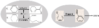 Fig 3:  Illustration of effects of phase I and phase II drug-metabolic enzymes. 