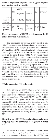 Table 1:  Expression of pSTAT3 in H. pylori  negative  and H. pylori  positive gastritis