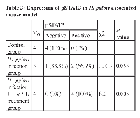 Table 3:  Expression of pSTAT3 in H. pylori  associated  mouse model