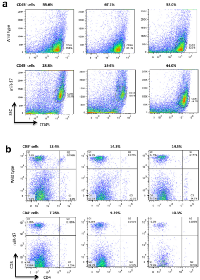 Figure 1: Analysis of cell subtype in non-tumor-bearing  mice. 