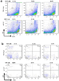 Figure 2:  Cell subtype analysis in tumor-bearing mice. 