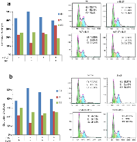 Figure 6:  Cell cycles analysis in Jurkat cells with or without B16 co-cultured. 