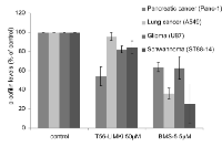 Figure 5:  Levels of p-cofilin levels are reduced in a cell- specific manner manner by T56-LIMKi. 