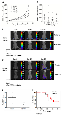 Figure 2: The effect of PEP005 in two human xenograft mouse models of AML. 