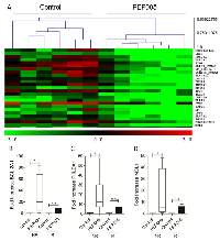 Figure 4:  PEP005 treated non-responders show a distinct transcriptional profile. 