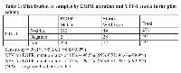 Table 1: Distribution of samples by EGFR mutation and TTF-1 status in the pilot  cohort.  EGFRStatus