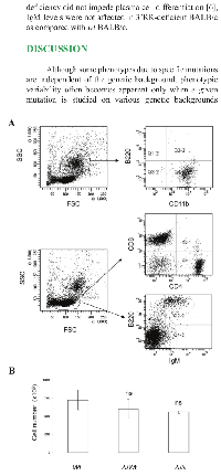 Figure  3:  Leukocyte  infiltrate  in  the  exudates  of  pristane-injected mice. 