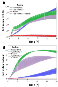 Figure 6:  Real-time monitoring of cancer cell adhesion  on  decorin  and  type  I  collagen  coatings. 