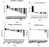 Figure 3: (A)ECM array analysis of cell-matrix adhesion molecules. 