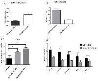 Figure 4: (A) KLK5 overexpression resulted in miR-183 upregulation. 