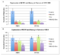 Figure 3:  Expression of both NANOG and MDR1 was  significantly suppressed by treatment with the MIA- 602/doxorubicin combination compared to MIA-602  or doxorubicin alone in A. 
