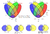 Figure 1: Differentially expressed genes commonly shared between treatment groups. 