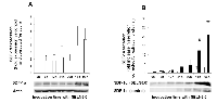 Figure 4:  Expression of Stromal Derived Factor (SDF-1α) by MiaPaCa-2 cells. 