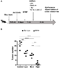 Figure 3: <i>In vivo</i> Anthos dose escalation study. 