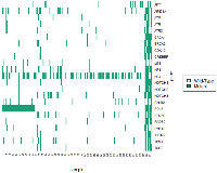 Figure 1: Mutational landscape of samples included in this study.