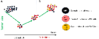 Figure 3: Treatment in sequence is futile (off-target resistance cases).