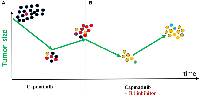 Figure 4: Used after relapse, not from the beginning, combination of capmatinib and R1 inhibitor cannot affect ”yellow” cells.