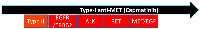 Figure 6: Hypothetical schema: targeting anticipated resistant mutations in sequence.