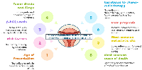 Figure 4: Summary of the key findings of the study.