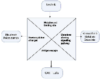 Figure 2: Key resistance mechanisms to targeted therapy (antigen loss, pathway reactivation, microenvironmental immune suppression).