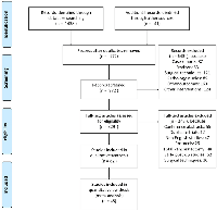 Figure 1: PRISMA flow diagram of the study collection.