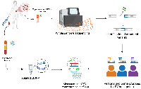 Figure 1: Workflow of detection of tumor-informed SVs of HGSOCs in liquid biopsy. 