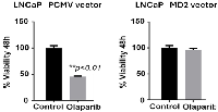 Figure 4:  Effect of Olaparib treatment on cell viability in MD2-overexpressing prostate cancer cells. 